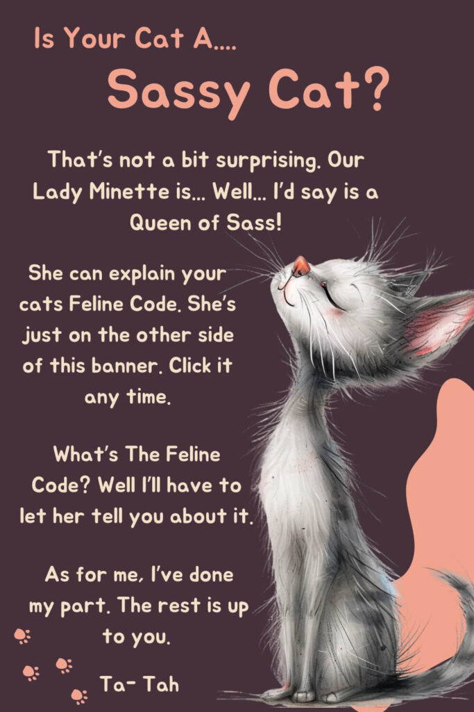A playful banner featuring a sassy-looking cat with text about the Feline Code and Lady Minette.