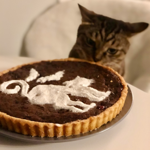A tabby cat eyeing a chocolate tart with a powdered sugar cat design.