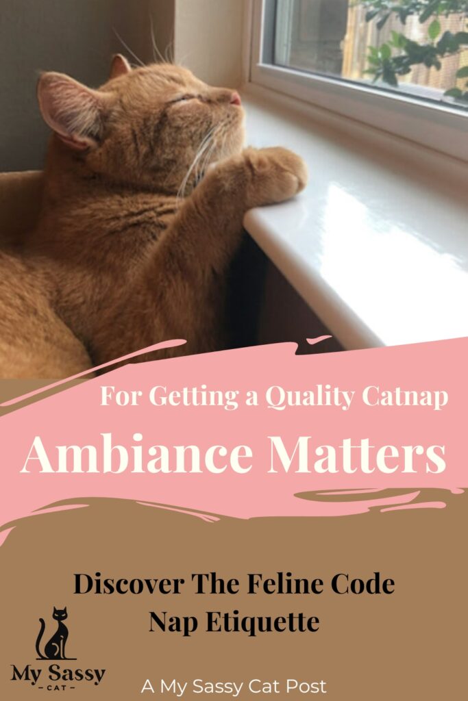Ginger cat relaxing by a window with the text "For Getting a Quality Catnap, Ambiance Matters" overlayed.