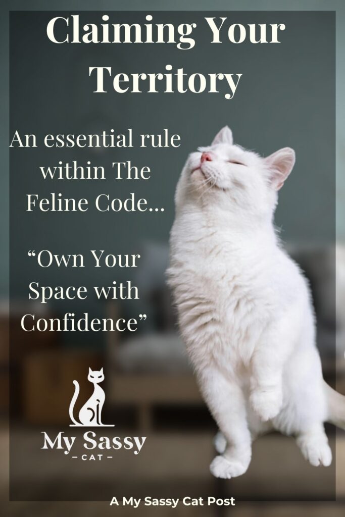Advertisement for a blog post titled "Claiming Your Territory - An Essential Rule within The Feline Code," featuring a white cat confidently raising its head.