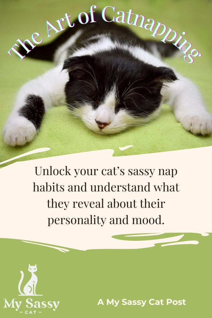 Black and white cat napping on a green blanket with text "The Art of Catnapping" above.