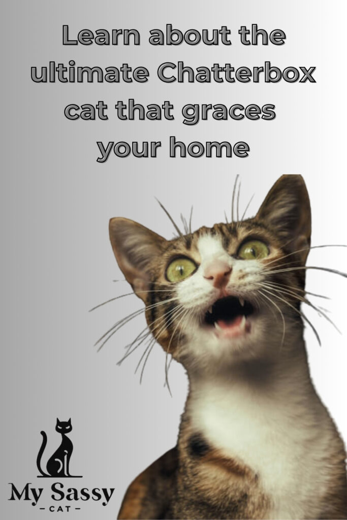 Cat with wide-open mouth, appearing to be meowing or talking.