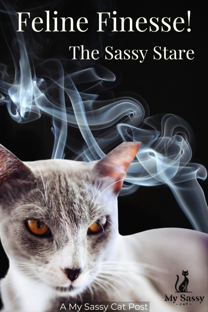 A close-up of a cat with intense yellow eyes, surrounded by swirling smoke, with the text "Feline Finesse! The Sassy Stare" and the My Sassy Cat logo.