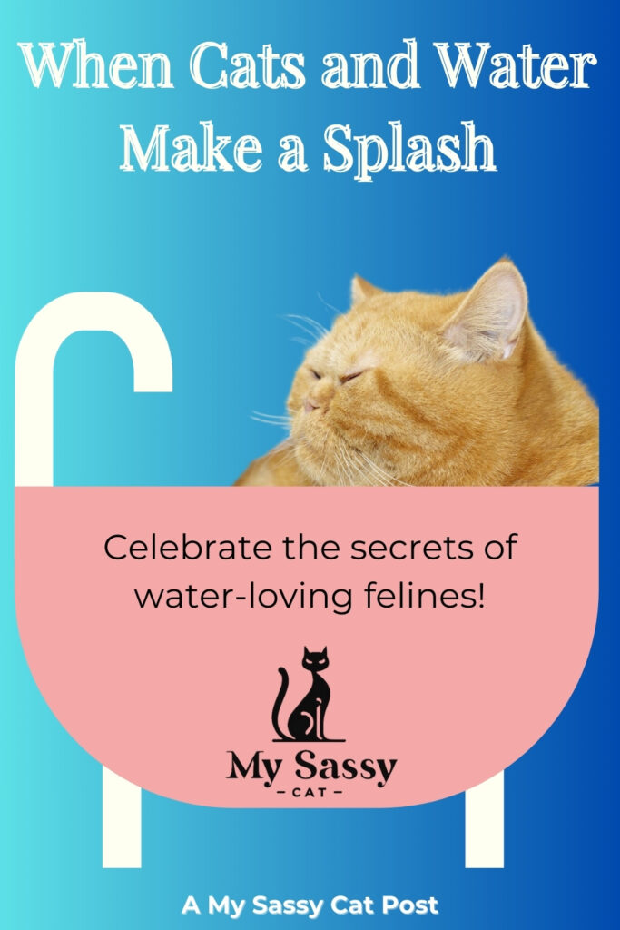 A promotional image featuring a ginger cat and the text "When Cats and Water Make a Splash" with the My Sassy Cat logo and the tagline "Celebrate the secrets of water-loving felines!"