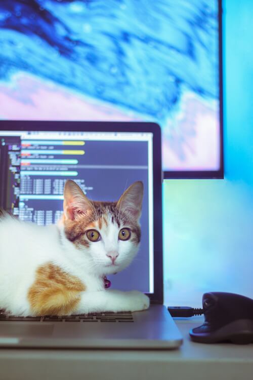 Calico cat lying on a laptop with a colorful screen in the background.