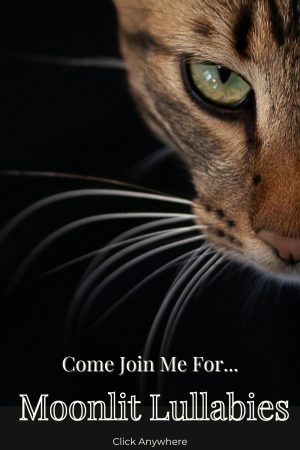 Close-up of a cat's face with green eyes,